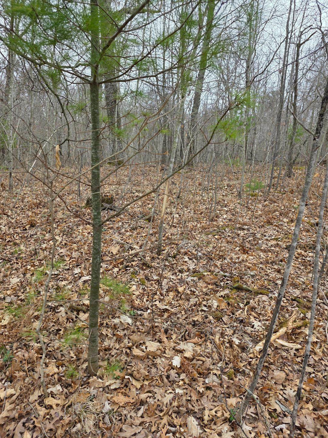 Lot 9 Lukes Lane - Photo 1