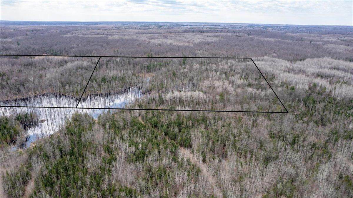 5600 Otto Road - Photo 1