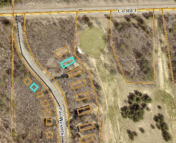 39918 Par West Drive - Photo 1
