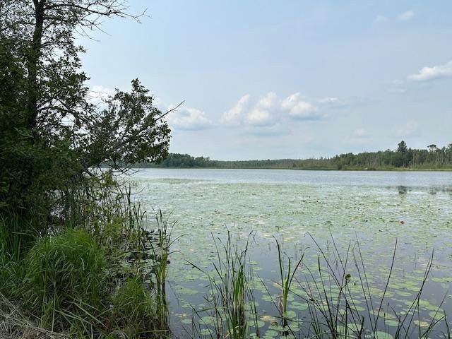 TBD Jola Road - Photo 1