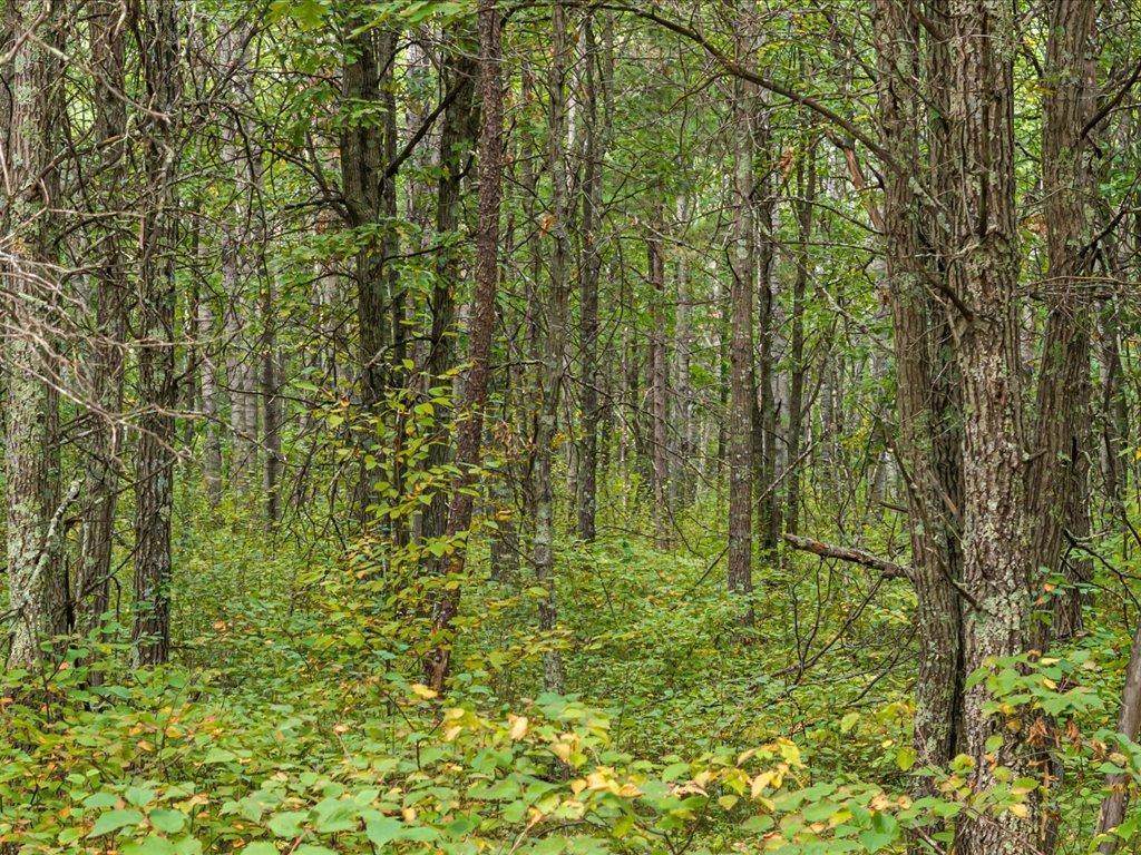 Lot A Sandbar Lane - Photo 1