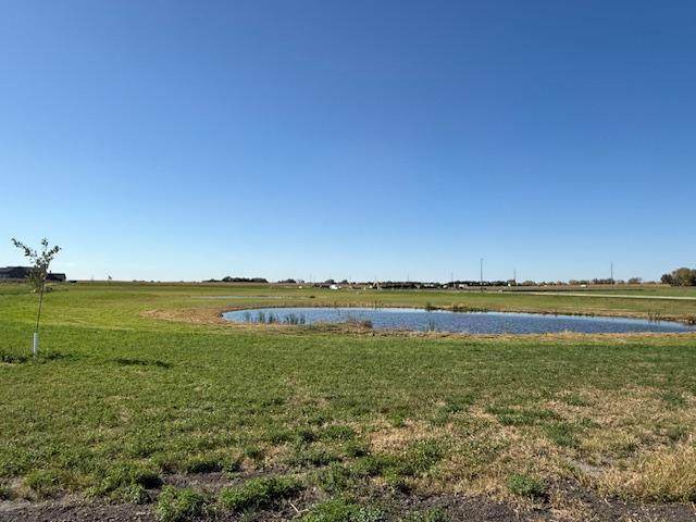 1106 Sunflower Rd Rwf - Photo 1