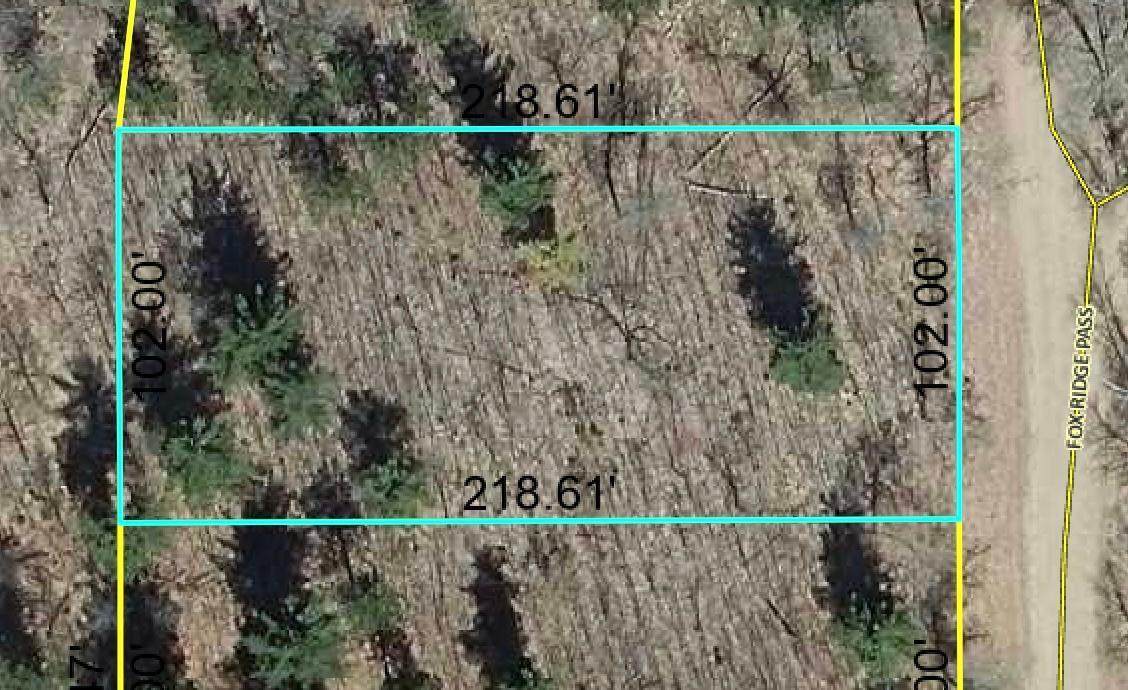 Lot 6 Fox Ridge Pass - Photo 1