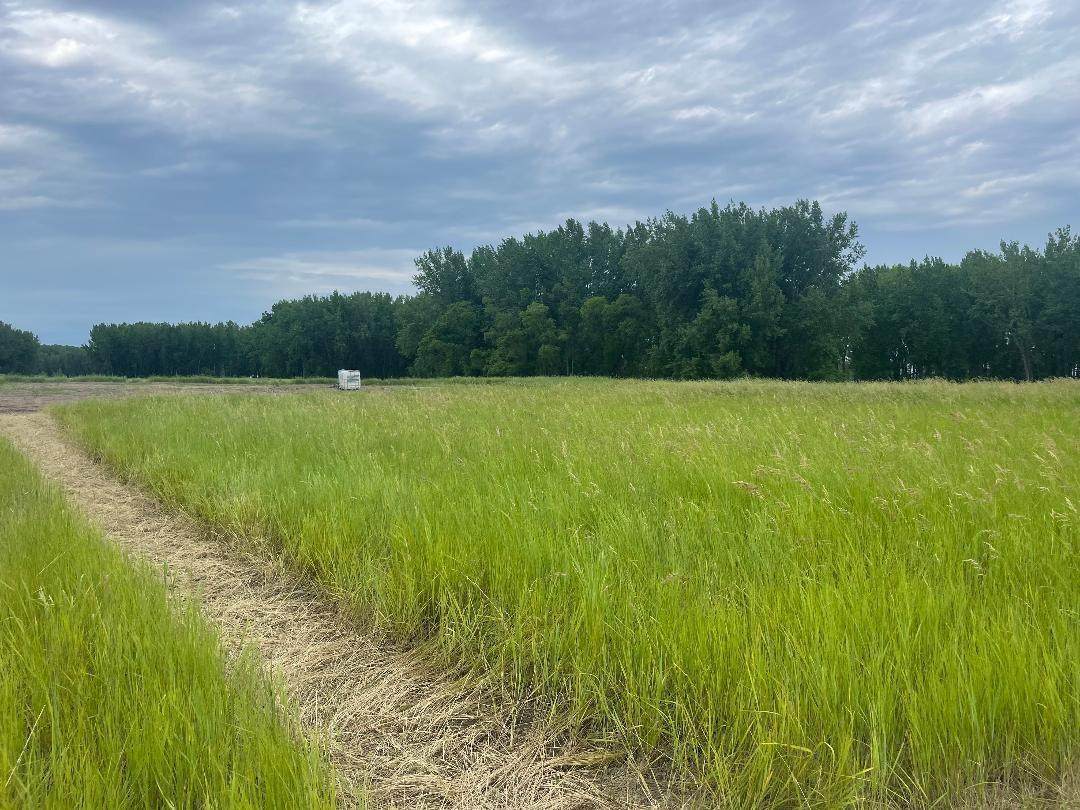 10220 State Hwy 9 - Photo 1