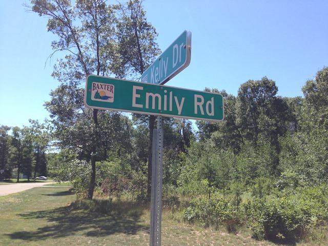 Lot 4 Emily Road - Photo 1