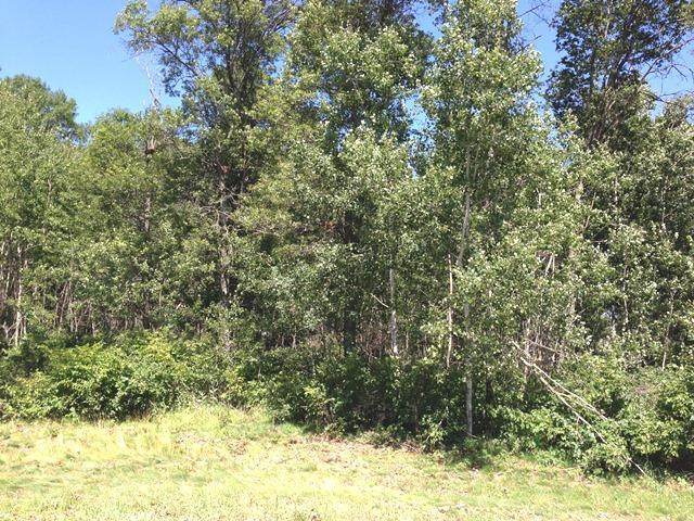 Lot 3 Emily Circle - Photo 1
