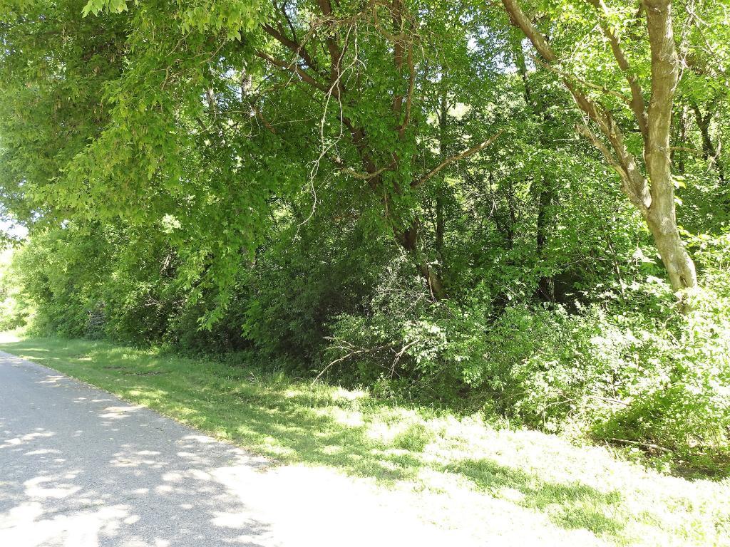 Lot 7 185th Avenue - Photo 1