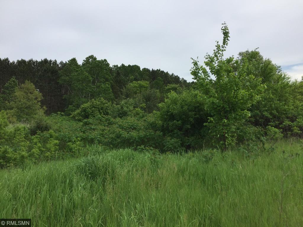 XXX Indigo Trail - Photo 1