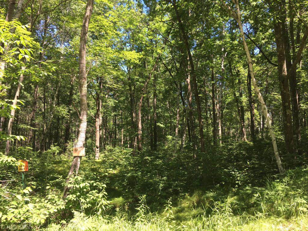 XXX Fort Thunder Drive - Photo 1