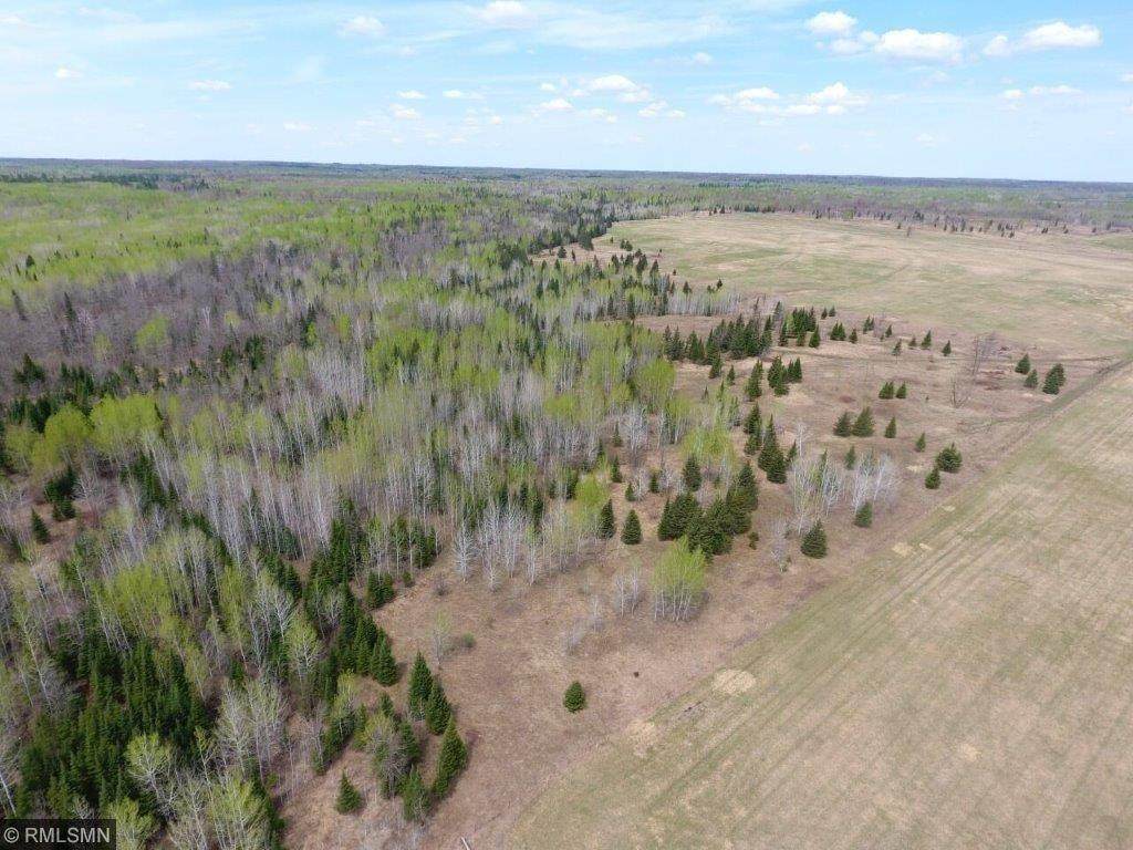 XXX County Rd. 3 Parcel #3 - Photo 1