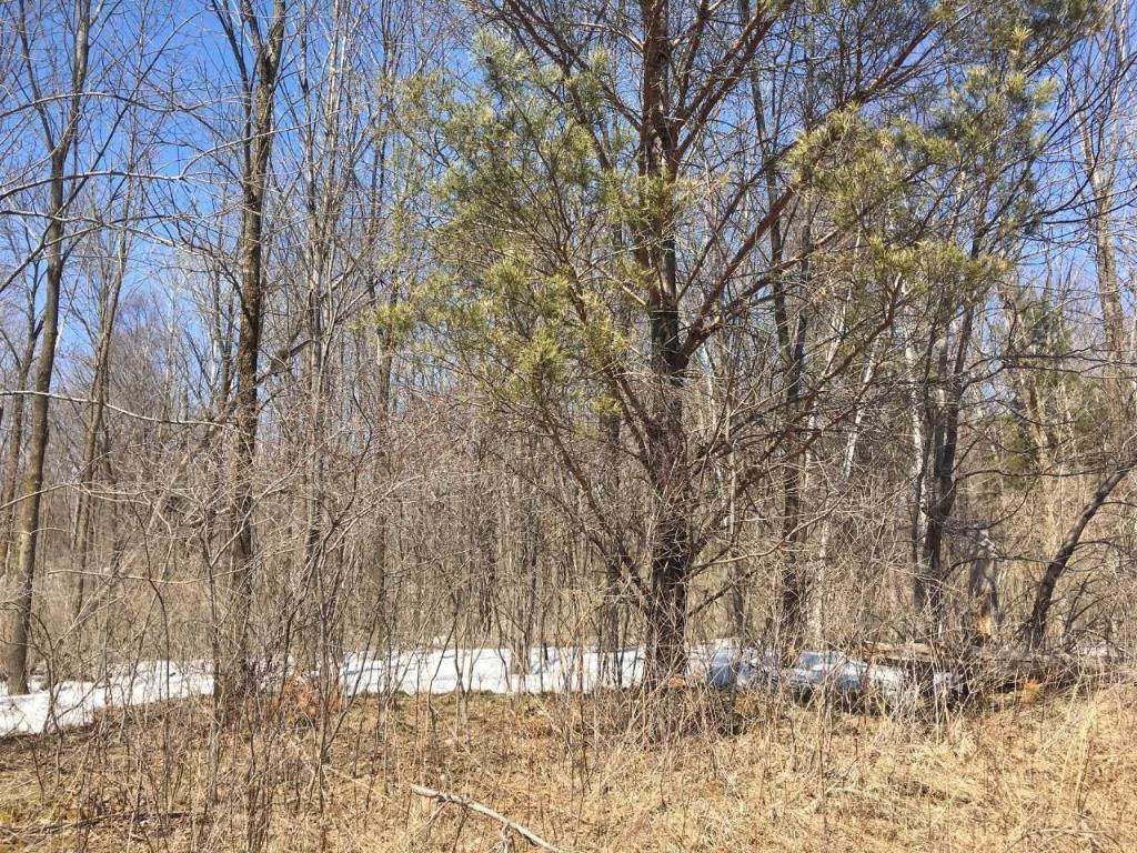 0 E North Avenue - Photo 1