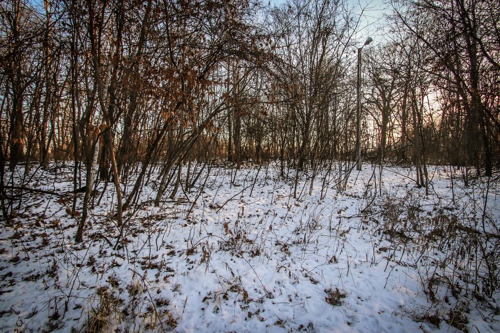 18028 Dove Hill Road - Photo 1