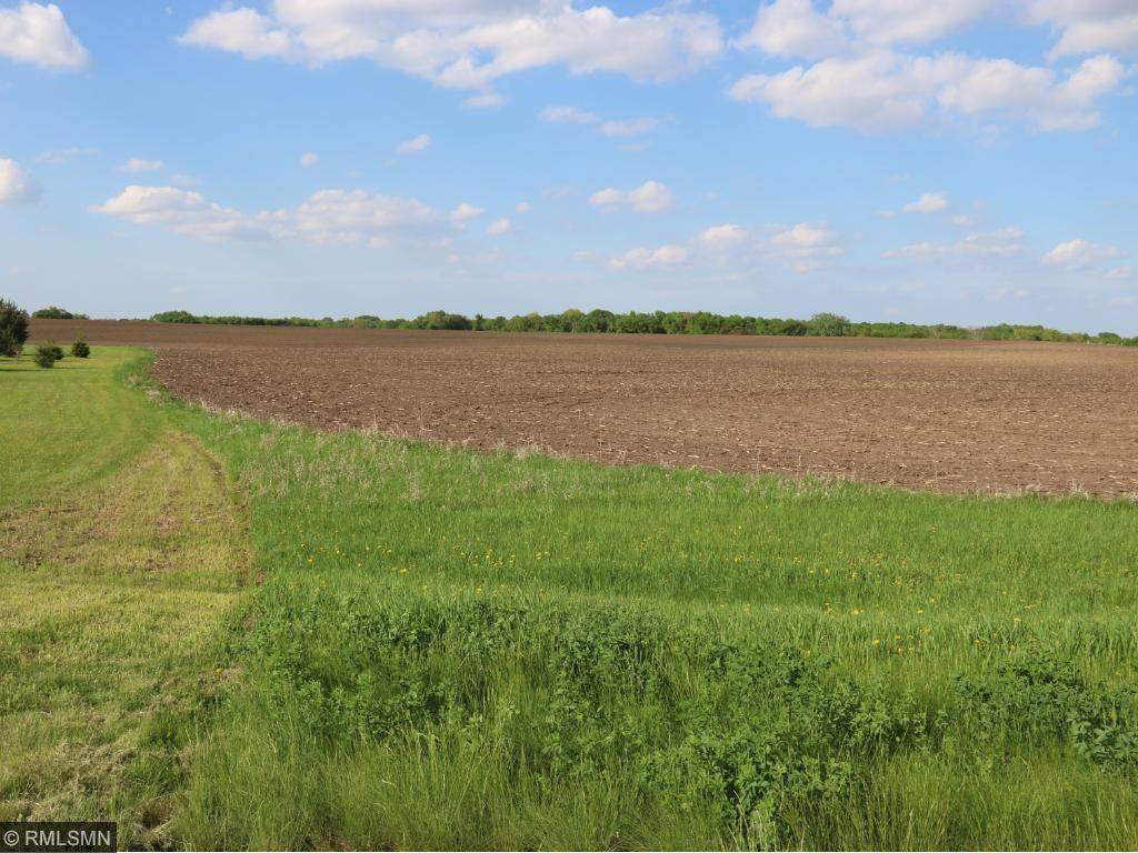 35811 Sharon Prairie Drive - Photo 1