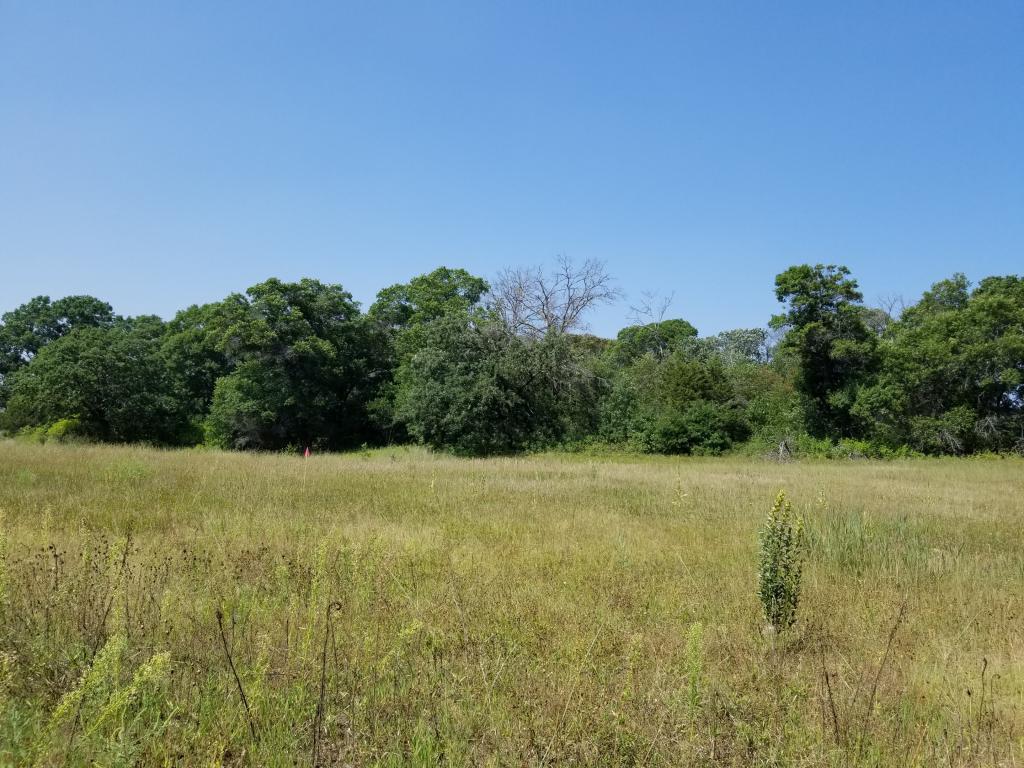 XXXX 242nd Avenue - Photo 1