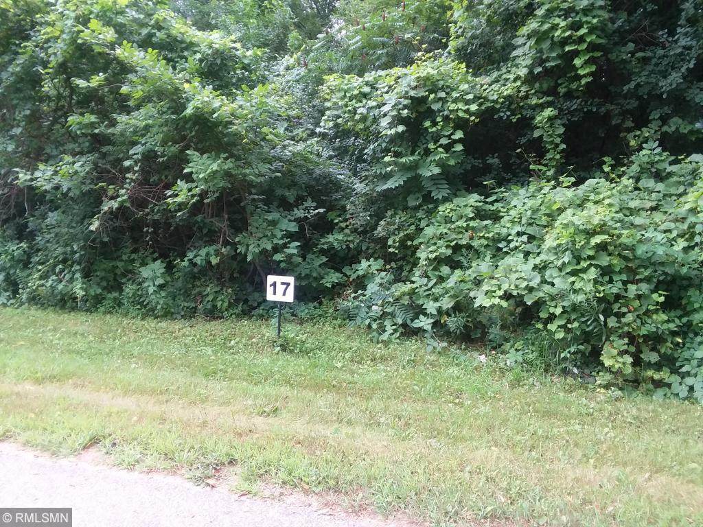 Lot 17 185th Avenue - Photo 1