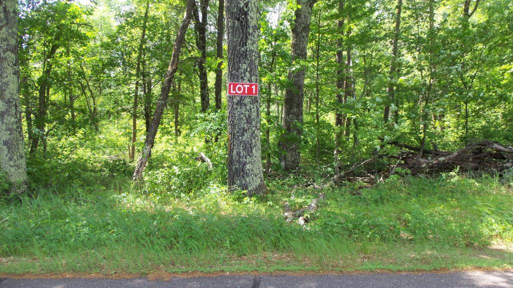 LOT 1 Spaulding Rd - Photo 1