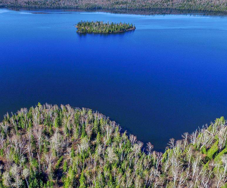 6852 Two Moose Trail - Photo 1