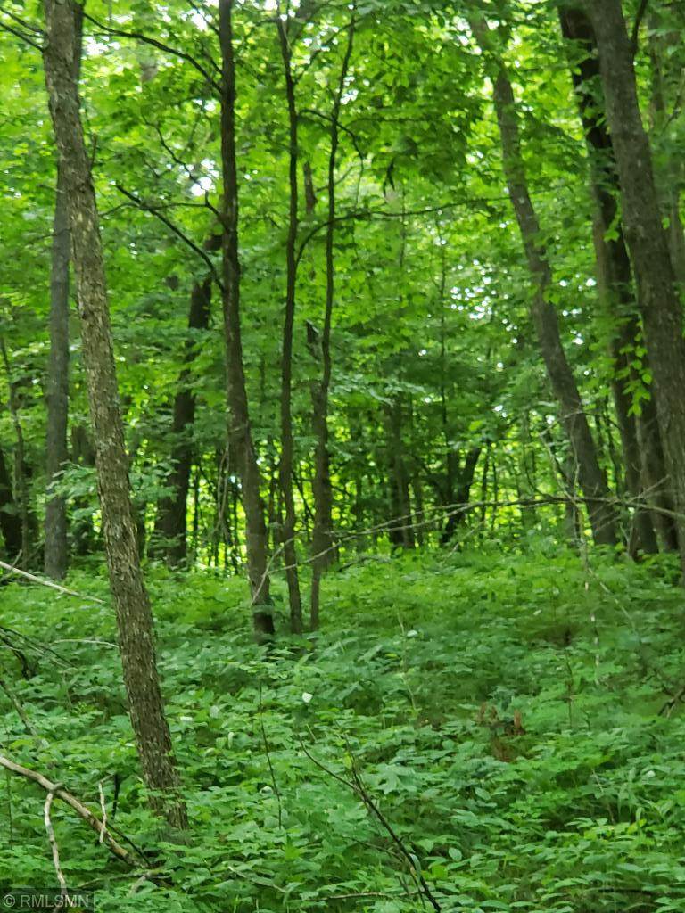 Lot 2 Mccraney Lane - Photo 1
