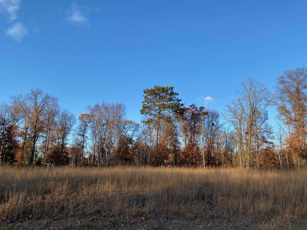 Lot5.Block1 Bald Eagle Trail - Photo 1