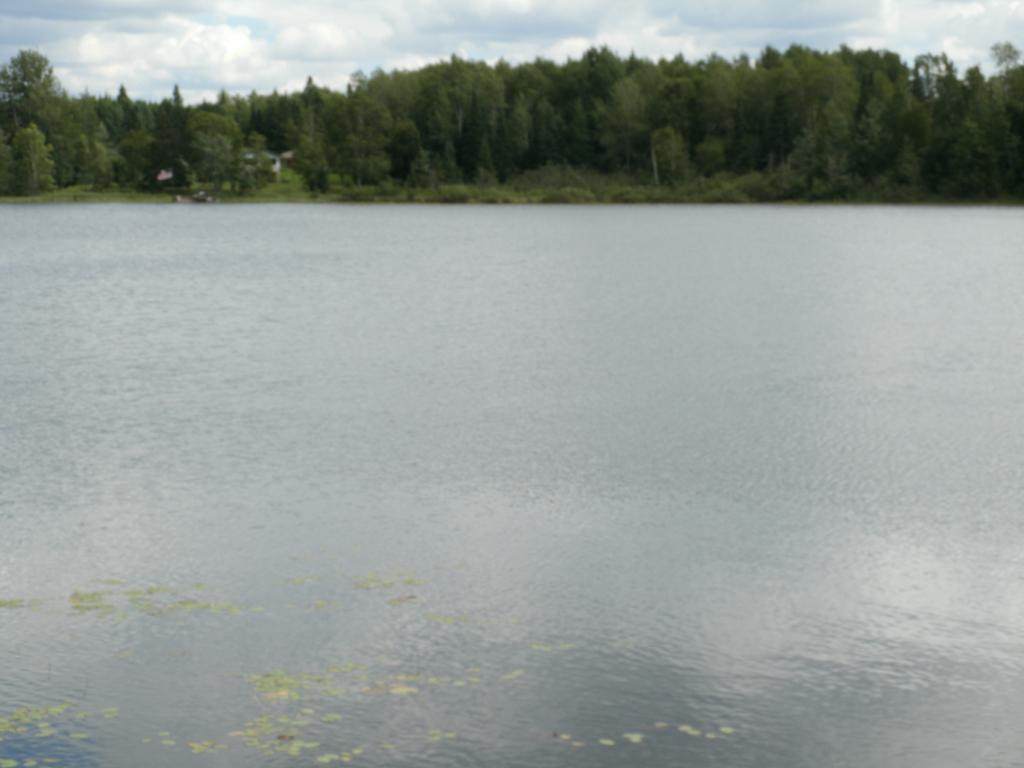 Tract 7 Powers Road - Photo 1