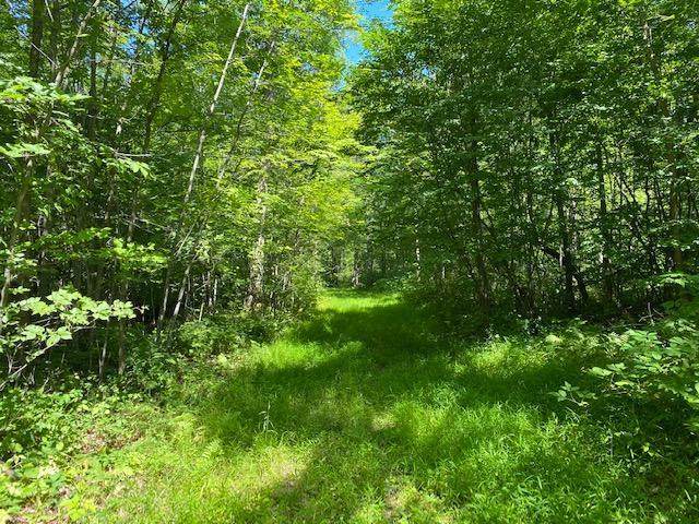 Lot 6 236th Street - Photo 1