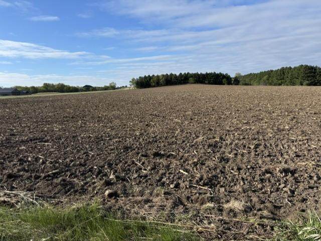 TBD Pine Bluff (Site 15) Road - Photo 1