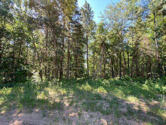 TBD Crescent Ridge Trail - Photo 1