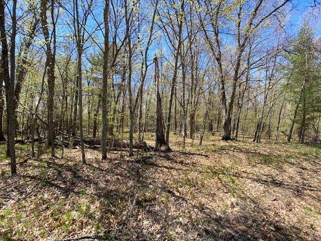 0 Lot 56 Bridle Trail - Photo 1