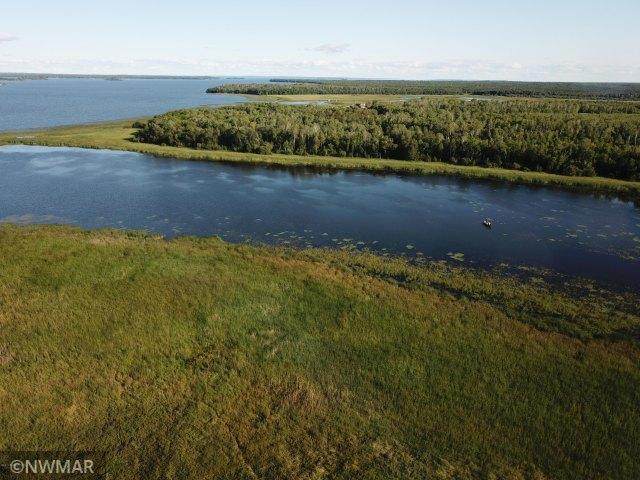 7710 Young's Bay - Photo 1