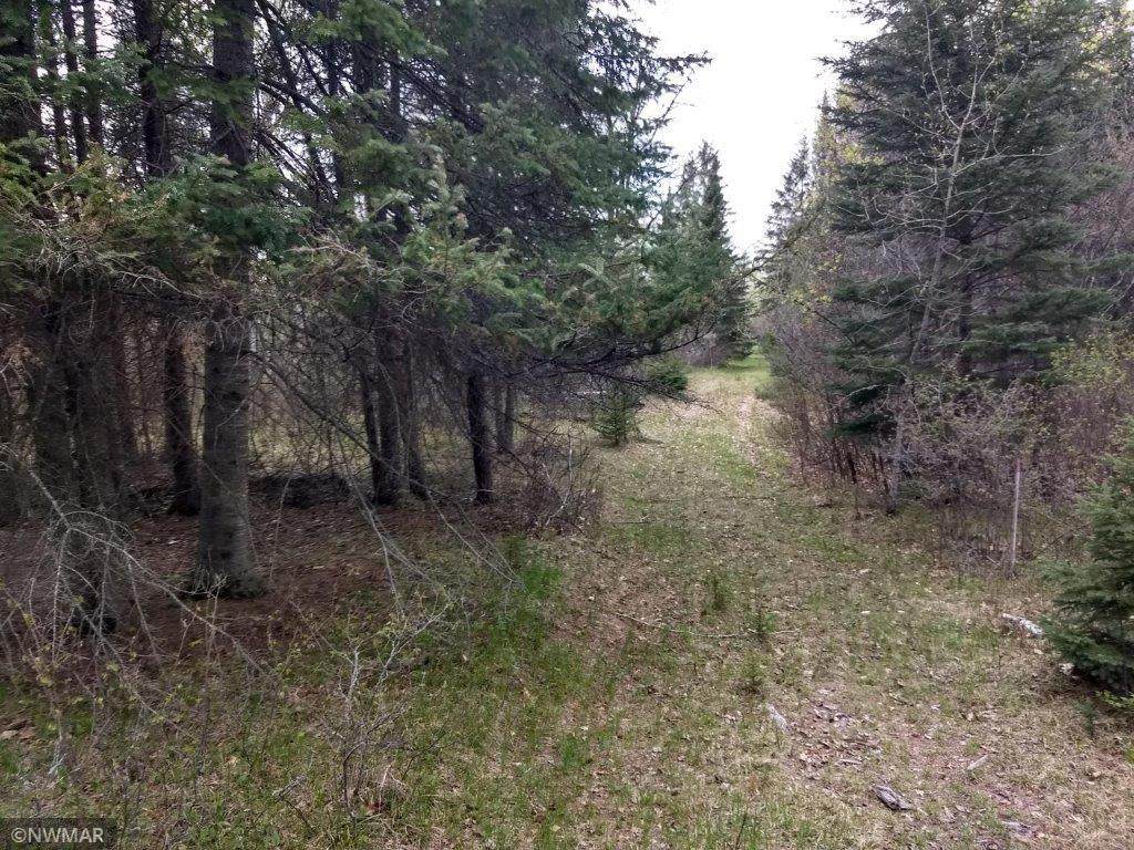 TBD Labrador - Photo 1