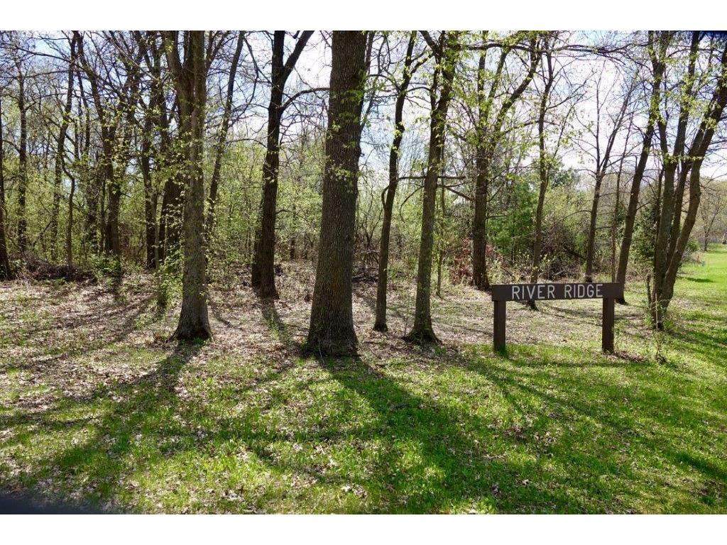 Lots 1 and 2 845th Street - Photo 1