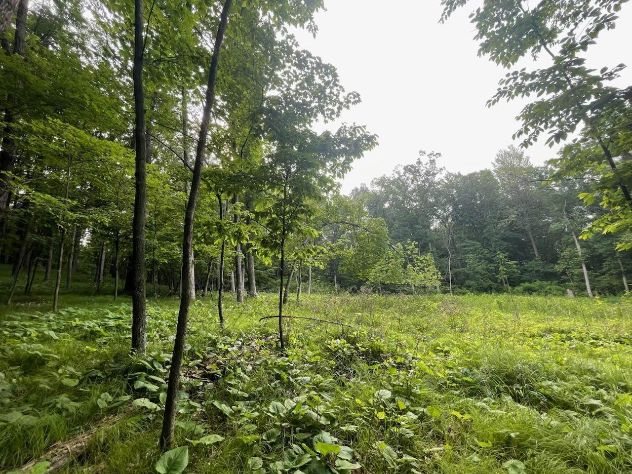 Lot's 4,5 & 6 Anderson Hill Lane - Photo 1