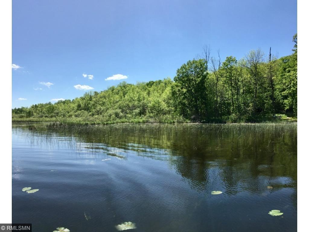 XXX Cedar Lake Drive - Photo 1