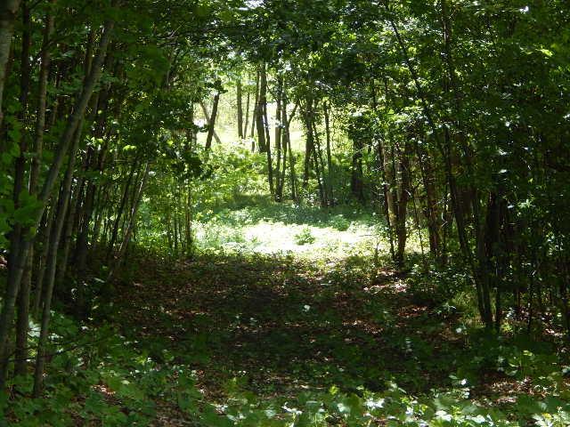 xxx Dunlin Road - Photo 1