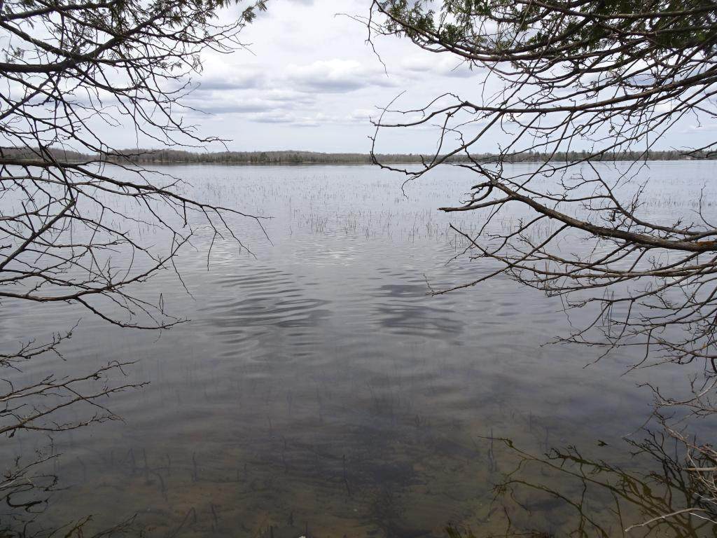 XXX Echo Pine Trail - Photo 1