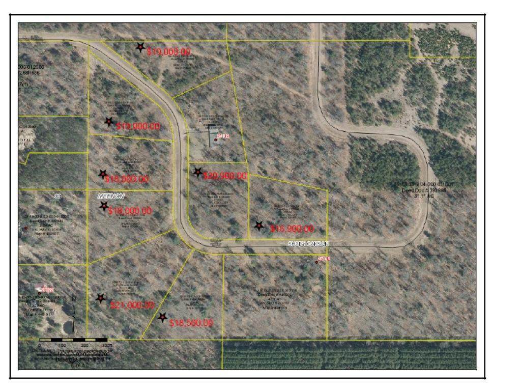 0 Shady Oaks Lot 1 Lane - Photo 1