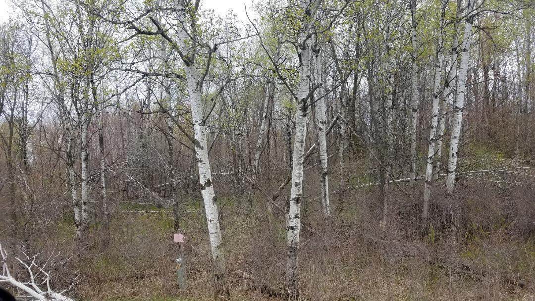 00 Highway 48 - Photo 1