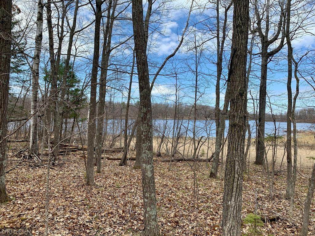 LOT 6 Woodtick Trail - Photo 1