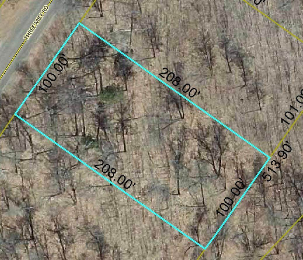 Lot 65 Three Mile Road - Photo 1