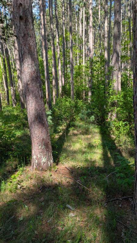 3823 County Road 17 - Photo 1