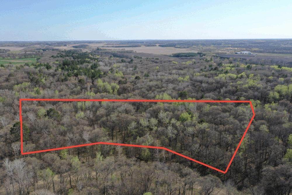 27389 Okla Circle - Photo 1