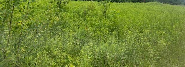 XXX 210th Street - Photo 1