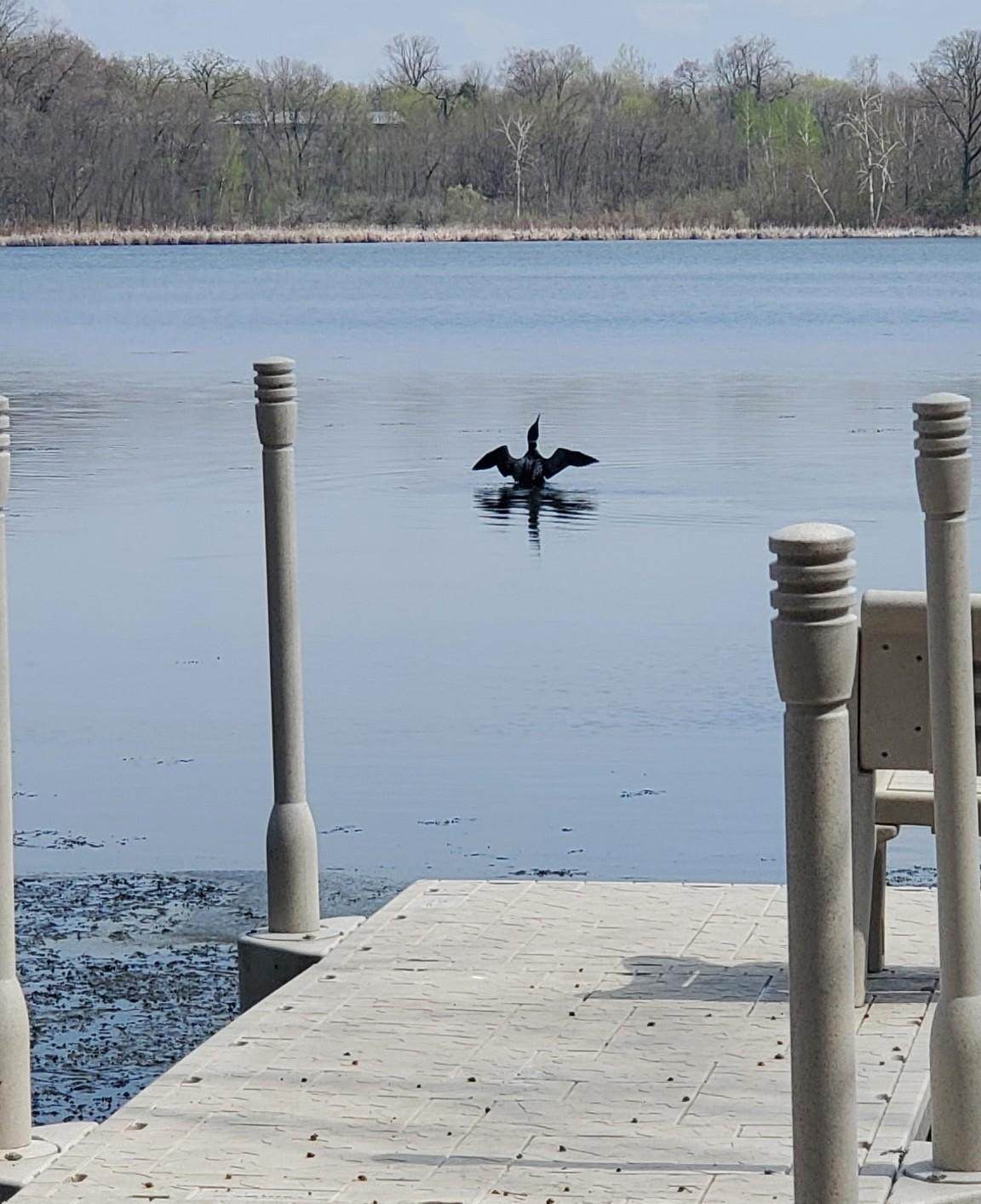 12814 Juniper Road - Photo 1