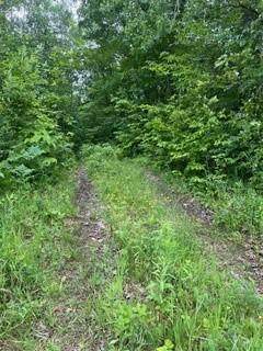 26259 County Road 26 - Photo 1