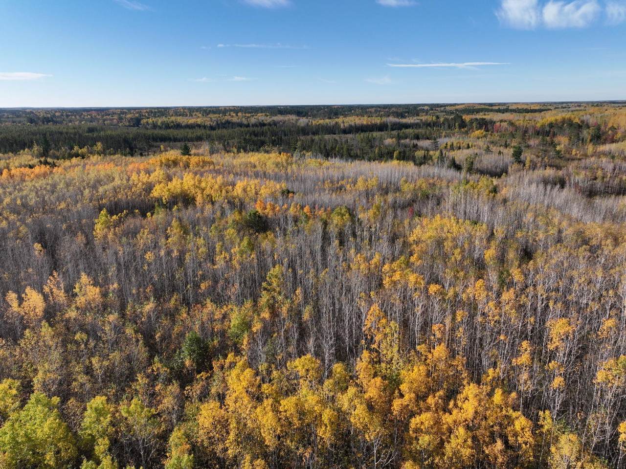 https://bt-photos.global.ssl.fastly.net/northwoods/1280_boomver_1_206790-2.jpg