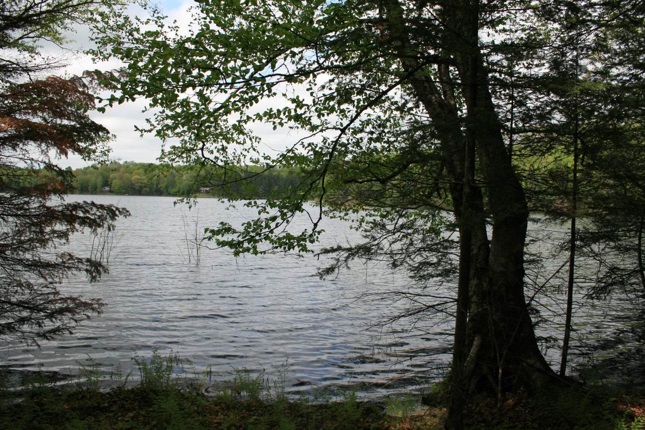23535 Sucker Lake Rd - Photo 1