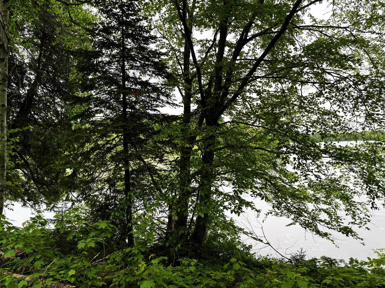 https://bt-photos.global.ssl.fastly.net/northwoods/1280_boomver_1_207751-2.jpg