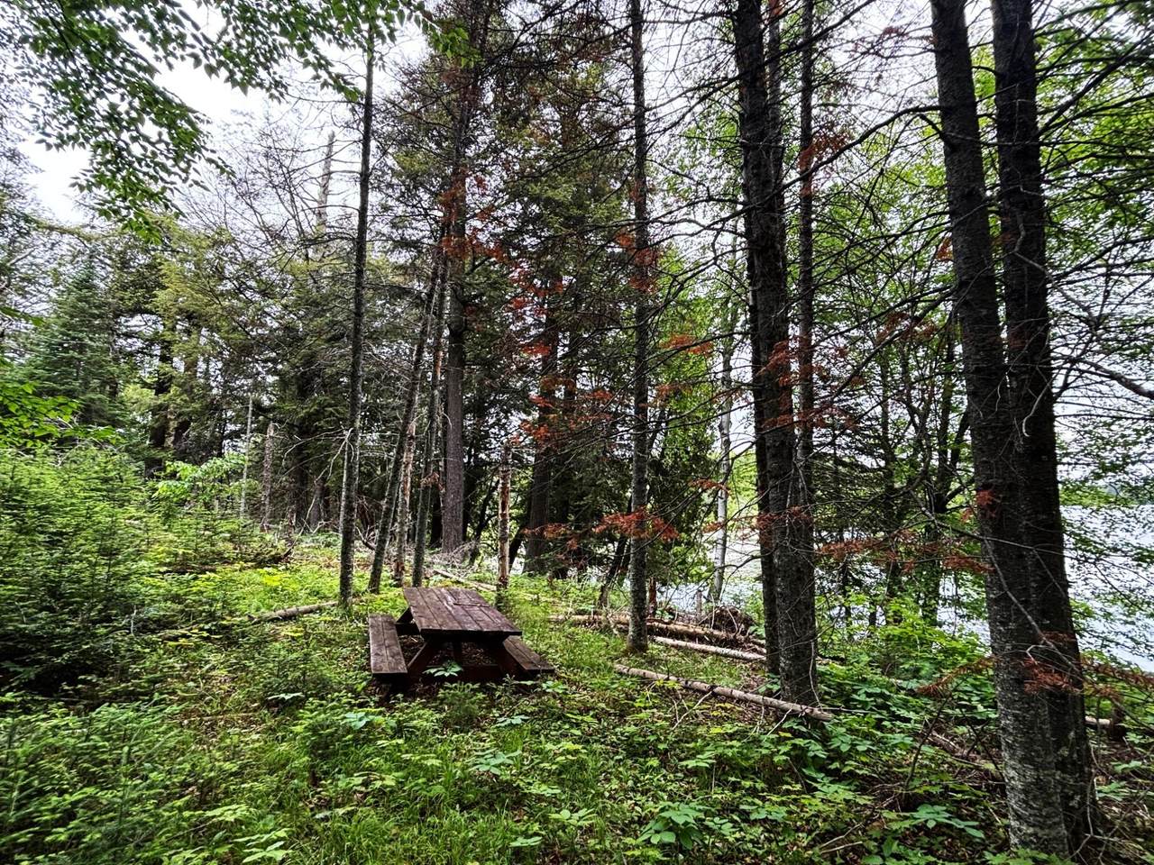 https://bt-photos.global.ssl.fastly.net/northwoods/1280_boomver_1_207751-2.jpg