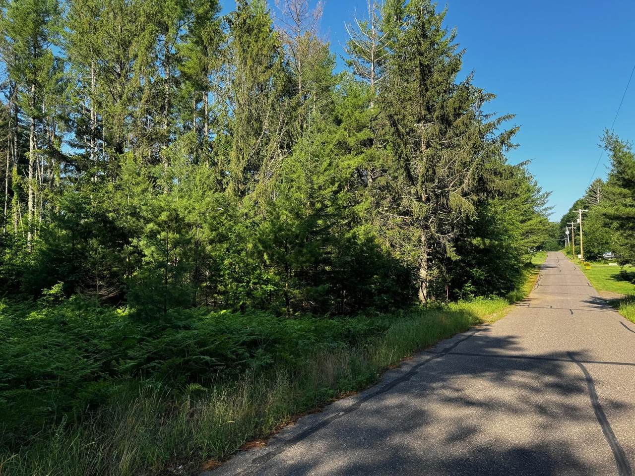 11049 Shishebogama Dr - Photo 1