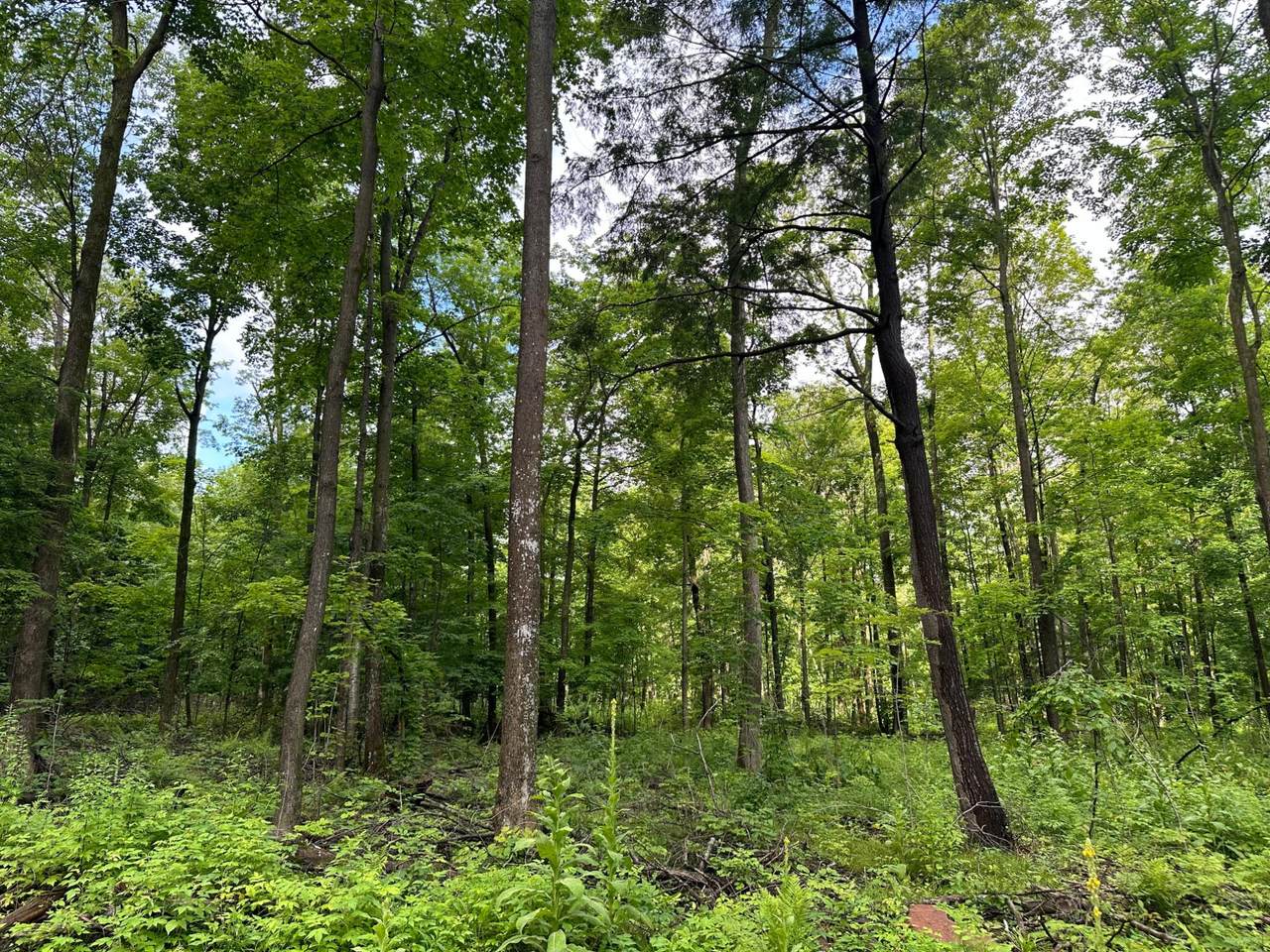 Lot 8 On Kellar Dr - Photo 1